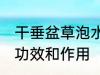 干垂盆草泡水喝的正确方法 垂盆草的功效和作用