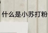 什么是小苏打粉俗称什么 何谓小苏打