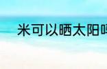 米可以晒太阳吗 米能不能晒太阳
