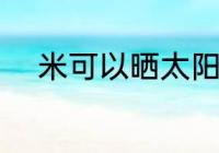 米可以晒太阳吗 米能不能晒太阳