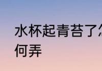 水杯起青苔了怎么弄 水杯起青苔了如何弄