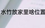 水竹放家里啥位置 家里水竹如何摆放