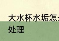 大水杯水垢怎么处理 大水杯水垢如何处理