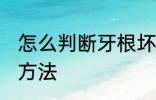 怎么判断牙根坏没坏 判断牙根断了的方法