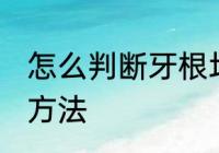 怎么判断牙根坏没坏 判断牙根断了的方法