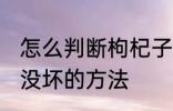 怎么判断枸杞子坏没坏 判断枸杞子坏没坏的方法