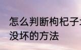 怎么判断枸杞子坏没坏 判断枸杞子坏没坏的方法