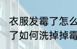 衣服发霉了怎么洗掉掉霉斑 衣服发霉了如何洗掉掉霉斑