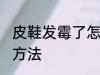 皮鞋发霉了怎么洗掉 皮鞋发霉的清洗方法