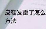 皮鞋发霉了怎么洗掉 皮鞋发霉的清洗方法