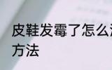 皮鞋发霉了怎么洗掉 皮鞋发霉的清洗方法