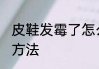 皮鞋发霉了怎么洗掉 皮鞋发霉的清洗方法