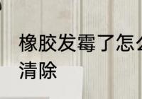橡胶发霉了怎么洗掉 橡胶发霉了如何清除