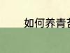 如何养青苔 青苔如何养种植