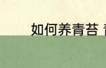 如何养青苔 青苔如何养种植
