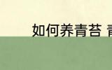 如何养青苔 青苔如何养种植