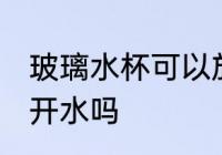 玻璃水杯可以放开水吗 玻璃水杯能放开水吗
