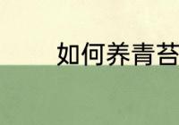 如何养青苔 青苔如何养种植