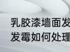 乳胶漆墙面发霉怎么处理 乳胶漆墙面发霉如何处理