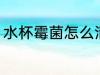 水杯霉菌怎么清洗 水杯霉菌如何清洗