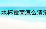 水杯霉菌怎么清洗 水杯霉菌如何清洗