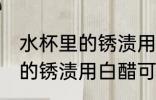 水杯里的锈渍用白醋能洗掉嘛 水杯里的锈渍用白醋可以洗掉吗