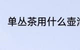 单丛茶用什么壶泡最好 单丛茶介绍