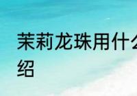 茉莉龙珠用什么壶最好 茉莉龙珠茶介绍