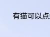 有猫可以点蚊香 有猫能点蚊香