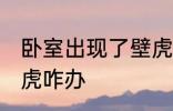 卧室出现了壁虎怎么办 卧室出现了壁虎咋办