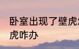 卧室出现了壁虎怎么办 卧室出现了壁虎咋办