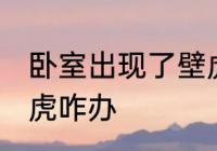 卧室出现了壁虎怎么办 卧室出现了壁虎咋办