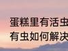 蛋糕里有活虫怎么处理 发现蛋糕里面有虫如何解决