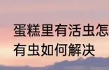 蛋糕里有活虫怎么处理 发现蛋糕里面有虫如何解决