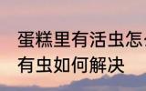 蛋糕里有活虫怎么处理 发现蛋糕里面有虫如何解决