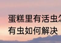 蛋糕里有活虫怎么处理 发现蛋糕里面有虫如何解决