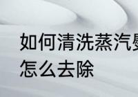 如何清洗蒸汽熨斗水垢 蒸汽熨斗水垢怎么去除