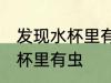 发现水杯里有虫该怎么办 如何解决水杯里有虫