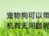 宠物狗可以带上飞机吗 带宠物狗上飞机有无问题呢
