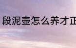 段泥壶怎么养才正确 如何养好段泥壶