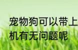 宠物狗可以带上飞机吗 带宠物狗上飞机有无问题呢