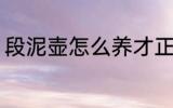 段泥壶怎么养才正确 如何养好段泥壶