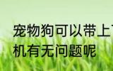 宠物狗可以带上飞机吗 带宠物狗上飞机有无问题呢