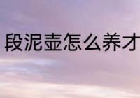 段泥壶怎么养才正确 如何养好段泥壶