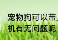宠物狗可以带上飞机吗 带宠物狗上飞机有无问题呢