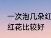 一次泡几朵红花比较好 一次泡多少朵红花比较好