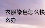衣服染色怎么快速去掉 衣服被染色怎么办