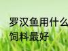 罗汉鱼用什么食料最好 罗汉鱼喂什么饲料最好