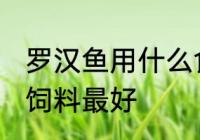 罗汉鱼用什么食料最好 罗汉鱼喂什么饲料最好