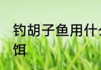 钓胡子鱼用什么饵最好 钓鲶鱼用什么饵